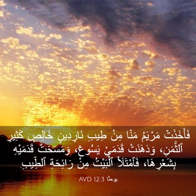 Picture 03 - يوحنَّا 12:3 AVD - فَأَخَذَتْ مَرْيَمُ مَنًا - Bible Verse Picture
