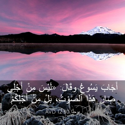 Picture 03 - يوحنَّا 12:30 AVD - أَجَابَ يَسُوعُ وقَالَ: - Bible Verse Picture