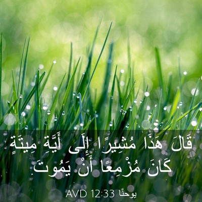 Picture 03 - يوحنَّا 12:33 AVD - قَالَ هَذَا مُشِيرًا إِلَى - Bible Verse Picture