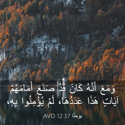 Picture 03 - يوحنَّا 12:37 AVD - وَمَعَ أَنَّهُ كَانَ قَدْ - Bible Verse Picture