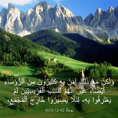 Picture 03 - يوحنَّا 12:42 AVD - وَلَكِنْ مَعَ ذَلِكَ آمَنَ - Bible Verse Picture