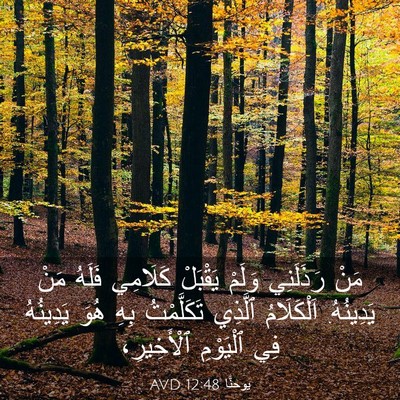 Picture 03 - يوحنَّا 12:48 AVD - مَنْ رَذَلَنِي وَلَمْ - Bible Verse Picture