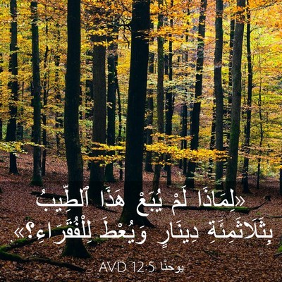 Picture 03 - يوحنَّا 12:5 AVD - «لِمَاذَا لَمْ يُبَعْ - Bible Verse Picture
