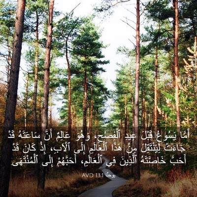 Picture 03 - يوحنَّا 13:1 AVD - أَمَّا يَسُوعُ قَبْلَ - Bible Verse Picture