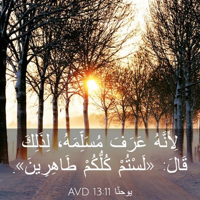 Picture 03 - يوحنَّا 13:11 AVD - لِأَنَّهُ عَرَفَ - Bible Verse Picture