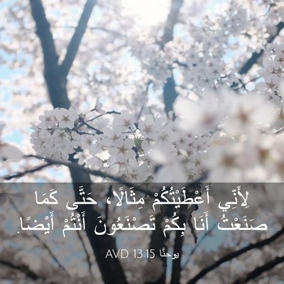Picture 03 - يوحنَّا 13:15 AVD - لِأَنِّي أَعْطَيْتُكُمْ - Bible Verse Picture