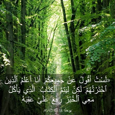 Picture 03 - يوحنَّا 13:18 AVD - «لَسْتُ أَقُولُ عَنْ - Bible Verse Picture
