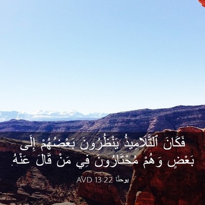 Picture 03 - يوحنَّا 13:22 AVD - فَكَانَ ٱلتَّلَامِيذُ - Bible Verse Picture