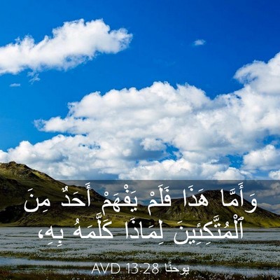 Picture 03 - يوحنَّا 13:28 AVD - وَأَمَّا هَذَا فَلَمْ - Bible Verse Picture