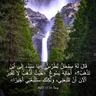 Picture 03 - يوحنَّا 13:36 AVD - قَالَ لَهُ سِمْعَانُ - Bible Verse Picture