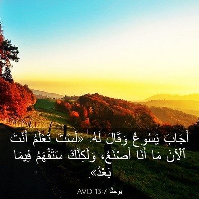 Picture 03 - يوحنَّا 13:7 AVD - أَجَابَ يَسُوعُ وَقَالَ - Bible Verse Picture