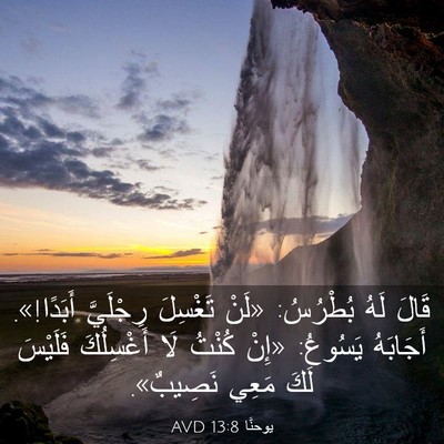 Picture 03 - يوحنَّا 13:8 AVD - قَالَ لَهُ بُطْرُسُ: «لَنْ - Bible Verse Picture