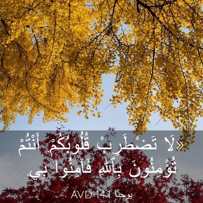 Picture 03 - يوحنَّا 14:1 AVD - «لَا تَضْطَرِبْ - Bible Verse Picture