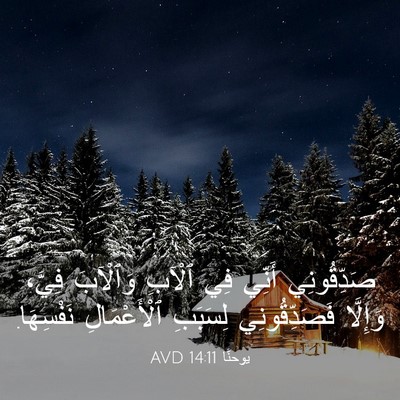 Picture 03 - يوحنَّا 14:11 AVD - صَدِّقُونِي أَنِّي فِي - Bible Verse Picture