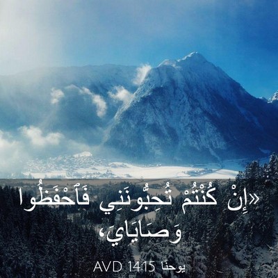 Picture 03 - يوحنَّا 14:15 AVD - «إِنْ كُنْتُمْ - Bible Verse Picture