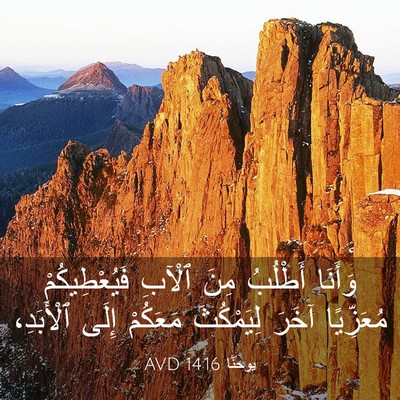 Picture 03 - يوحنَّا 14:16 AVD - وَأَنَا أَطْلُبُ مِنَ - Bible Verse Picture