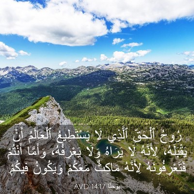 Picture 03 - يوحنَّا 14:17 AVD - رُوحُ ٱلْحَقِّ ٱلَّذِي لَا - Bible Verse Picture