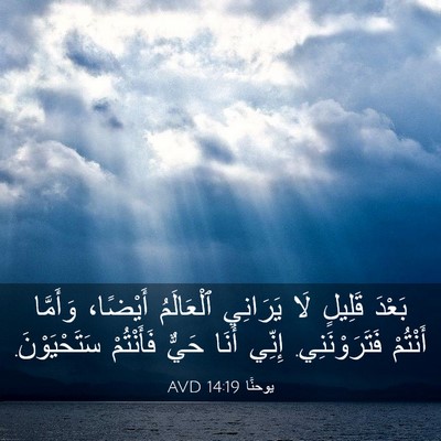 Picture 03 - يوحنَّا 14:19 AVD - بَعْدَ قَلِيلٍ لَا - Bible Verse Picture