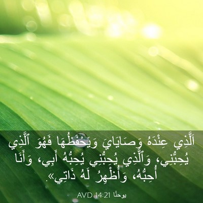 Picture 03 - يوحنَّا 14:21 AVD - اَلَّذِي عِنْدَهُ - Bible Verse Picture