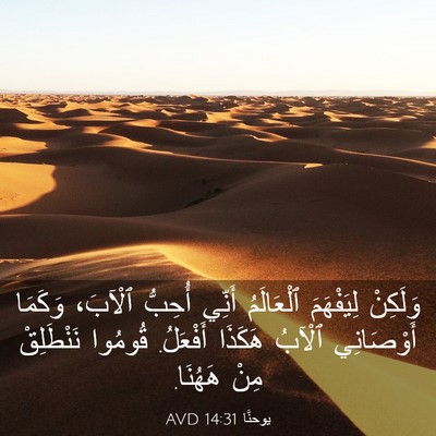 Picture 03 - يوحنَّا 14:31 AVD - وَلَكِنْ لِيَفْهَمَ - Bible Verse Picture