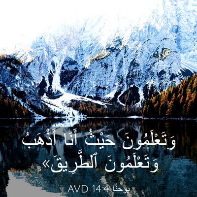 Picture 03 - يوحنَّا 14:4 AVD - وَتَعْلَمُونَ حَيْثُ - Bible Verse Picture