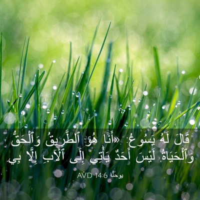 Picture 03 - يوحنَّا 14:6 AVD - قَالَ لَهُ يَسُوعُ: «أَنَا - Bible Verse Picture