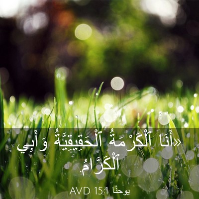Picture 03 - يوحنَّا 15:1 AVD - «أَنَا ٱلْكَرْمَةُ - Bible Verse Picture