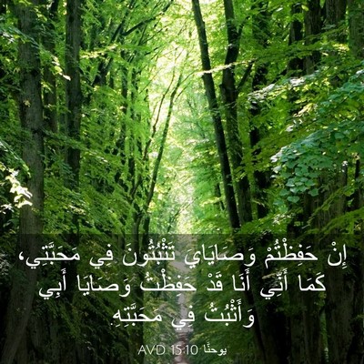 Picture 03 - يوحنَّا 15:10 AVD - إِنْ حَفِظْتُمْ - Bible Verse Picture