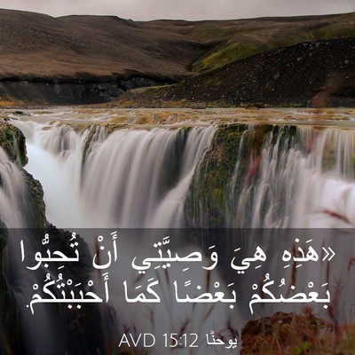 Picture 03 - يوحنَّا 15:12 AVD - «هَذِهِ هِيَ وَصِيَّتِي - Bible Verse Picture