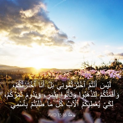 Picture 03 - يوحنَّا 15:16 AVD - لَيْسَ أَنْتُمُ - Bible Verse Picture