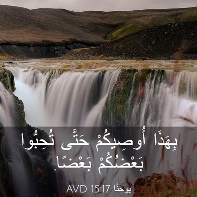 Picture 03 - يوحنَّا 15:17 AVD - بِهَذَا أُوصِيكُمْ حَتَّى - Bible Verse Picture