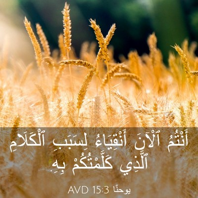 Picture 03 - يوحنَّا 15:3 AVD - أَنْتُمُ ٱلْآنَ - Bible Verse Picture