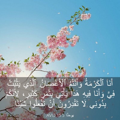 Picture 03 - يوحنَّا 15:5 AVD - أَنَا ٱلْكَرْمَةُ - Bible Verse Picture