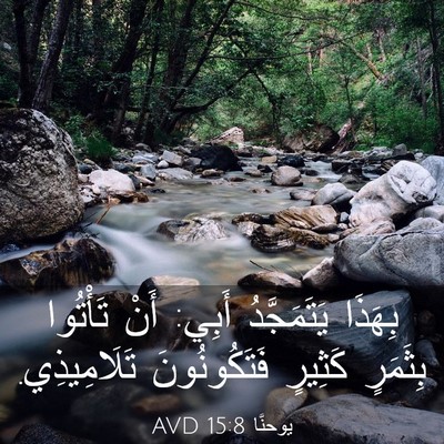 Picture 03 - يوحنَّا 15:8 AVD - بِهَذَا يَتَمَجَّدُ أَبِي: - Bible Verse Picture