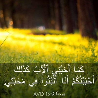Picture 03 - يوحنَّا 15:9 AVD - كَمَا أَحَبَّنِي ٱلْآبُ - Bible Verse Picture