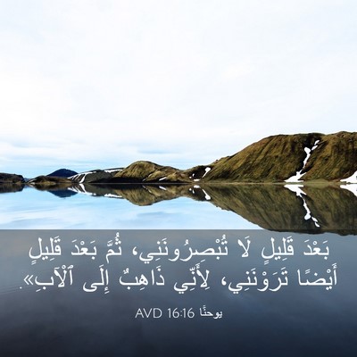 Picture 03 - يوحنَّا 16:16 AVD - بَعْدَ قَلِيلٍ لَا - Bible Verse Picture