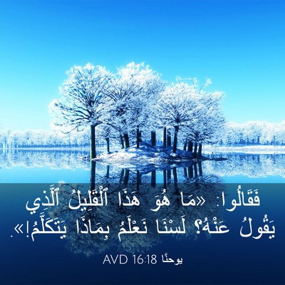 Picture 03 - يوحنَّا 16:18 AVD - فَقَالُوا: «مَا هُوَ هَذَا - Bible Verse Picture