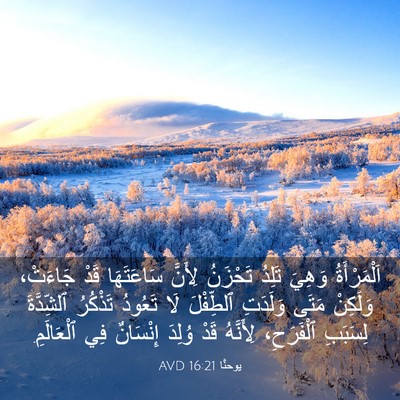 Picture 03 - يوحنَّا 16:21 AVD - اَلْمَرْأَةُ وَهِيَ - Bible Verse Picture