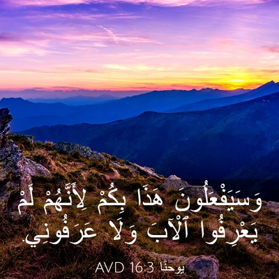 Picture 03 - يوحنَّا 16:3 AVD - وَسَيَفْعَلُونَ هَذَا - Bible Verse Picture