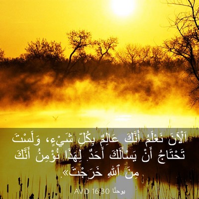 Picture 03 - يوحنَّا 16:30 AVD - اَلْآنَ نَعْلَمُ أَنَّكَ - Bible Verse Picture