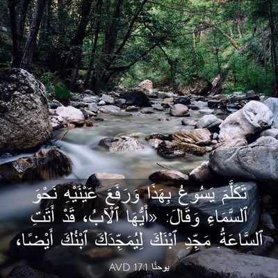 Picture 03 - يوحنَّا 17:1 AVD - تَكَلَّمَ يَسُوعُ بِهَذَا - Bible Verse Picture