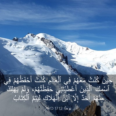 Picture 03 - يوحنَّا 17:12 AVD - حِينَ كُنْتُ مَعَهُمْ فِي - Bible Verse Picture