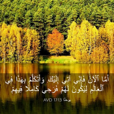 Picture 03 - يوحنَّا 17:13 AVD - أَمَّا ٱلْآنَ فَإِنِّي - Bible Verse Picture