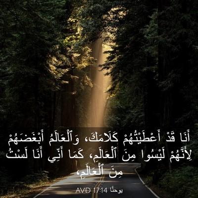 Picture 03 - يوحنَّا 17:14 AVD - أَنَا قَدْ أَعْطَيْتُهُمْ - Bible Verse Picture