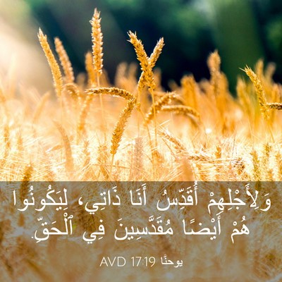 Picture 03 - يوحنَّا 17:19 AVD - وَلِأَجْلِهِمْ أُقَدِّسُ - Bible Verse Picture