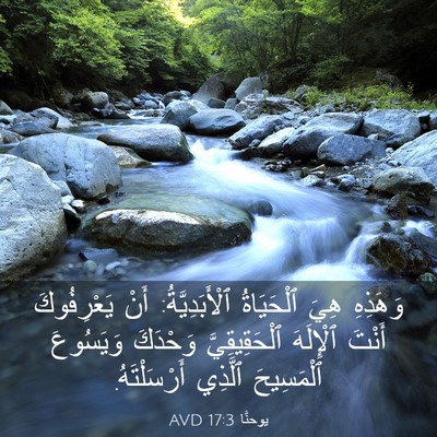 Picture 03 - يوحنَّا 17:3 AVD - وَهَذِهِ هِيَ ٱلْحَيَاةُ - Bible Verse Picture