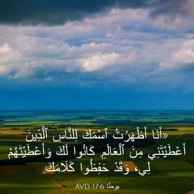 Picture 03 - يوحنَّا 17:6 AVD - «أَنَا أَظْهَرْتُ ٱسْمَكَ - Bible Verse Picture