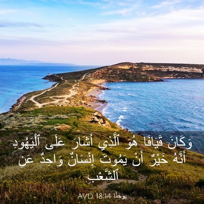 Picture 03 - يوحنَّا 18:14 AVD - وَكَانَ قَيَافَا هُوَ - Bible Verse Picture