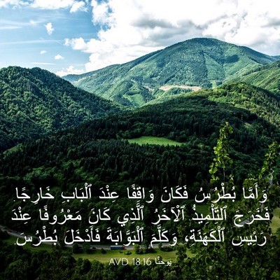 Picture 03 - يوحنَّا 18:16 AVD - وَأَمَّا بُطْرُسُ فَكَانَ - Bible Verse Picture