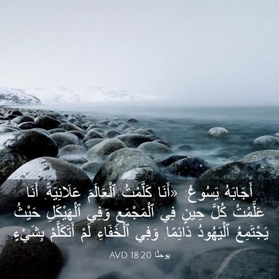 Picture 03 - يوحنَّا 18:20 AVD - أَجَابَهُ يَسُوعُ: «أَنَا - Bible Verse Picture